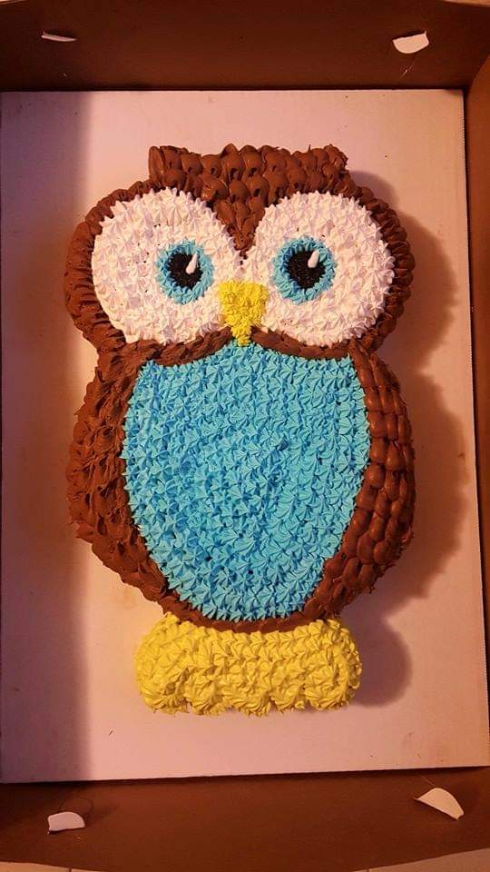 Owl Cake
