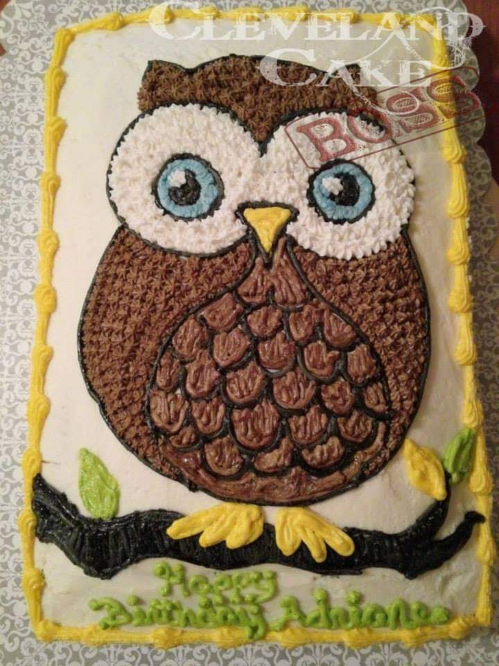 Owl Cake